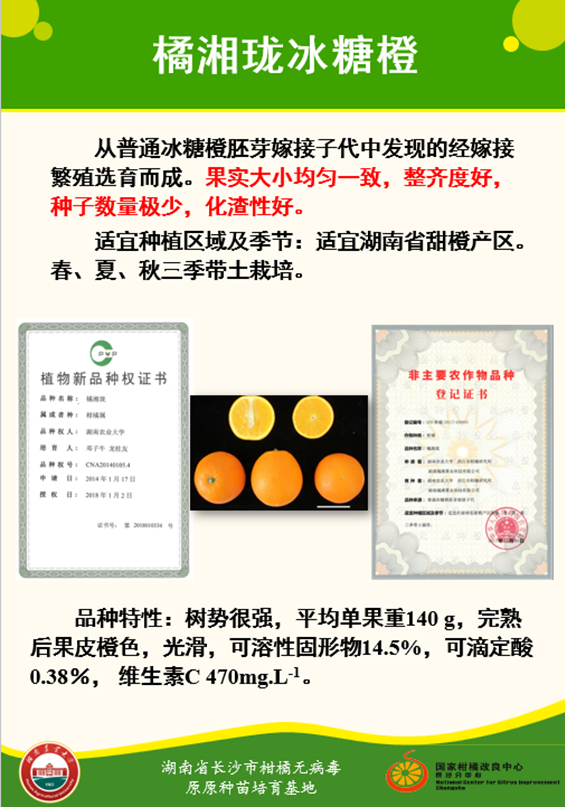 3-图片5.png